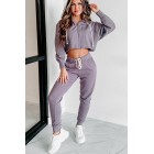 Comfortably Cool Zip-Front Crop Hoodie & Jogger Set (Dusty Purple)