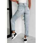 Bonita High Rise Distressed Boyfriend Jeans (Light)