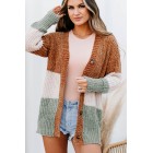 Falling Into A Pattern Chenille Colorblock Cardigan (Camel Multi)