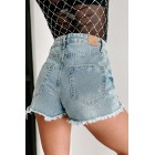 Adventure's Waiting Distressed High Rise Shorts (Light)