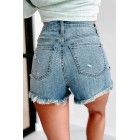 Day Off High Rise Frayed Hem Sneak Peek Denim Shorts (Medium)