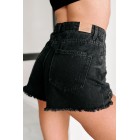 Adventure's Waiting Distressed High Rise Shorts (Black)