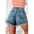 Abie High Rise Heavily Distressed Denim Shorts (Medium)